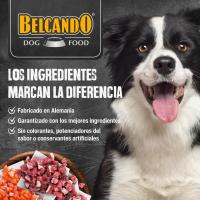 BELCANDO Finest Selection - Comida húmeda premium para perros de alta calidad (paquetes de 6 y 12 bolsas) - details 0
