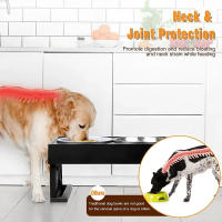 Cuencos altos de acero inoxidable para perros pequeños, medianos y grandes, soporte elevado para mascotas con alimentador lento, 3 alturas ajustables - details 2