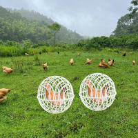Jaula Para Pollos Caminantes 3pcs 20cm Jaula De Rodillo Para Peces Huevos Y Aves Domésticas Alimentación Libre Almohadilla De Juguete Para Hamsters - details 6