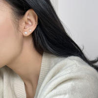 Pendientes De Crystals Zirconia Para Mujer 1Pareja De Estilo Helix Y Bone Nail Piercing En Acero Inoxidable Joyería De Regalo - details 3