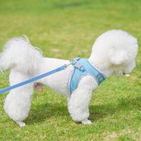 Harnés Para Perros De Correa Reflectante Y Transpirable Ajustable Ropa De Vestir Para Paseos Al Aire Libre Material De Poliéster - details 3