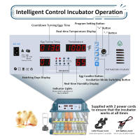 Incubadora de huevos 120, incubadora de huevos derecho para incubar pollitos, volteador automático de huevos con control de temperatura ,5 modos de incubación automáticos - details 4
