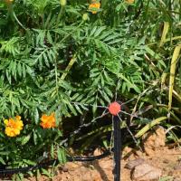 Sistema De Riego Por Drip Automático KESLA Para Jardín 15-25M 1/4 Kit De Riego DIY Para Bonsái Y Estufa Material Plástico - details 3