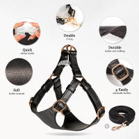 Juego De Arnés Y Correa Para Perros De Cuero PU Durable Arnes Suave Para Pequeños Y Medianos Perros Chihuahua Pug Con Guía De Caminar - details 8