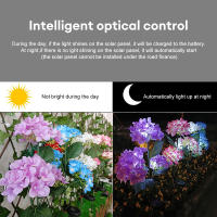 Lámpara Solar LED De 3 Cabezas Con Flor De Rosa Y Hibisco Para Jardín Patio Decoración De Casa Rústica Iluminación Exterior Para Verduras Y Frutas - details 6