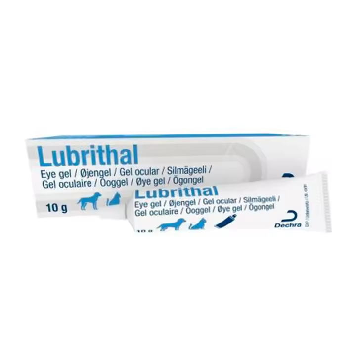 LUBRITHAL 10GR DECHRA - 1
