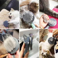 Cepillo Perros Gatos Peine de Aguja para Mascotas Masaje para Pelo Corto Largo para Eliminar Pelo Peine Profesional Durazno - details 0