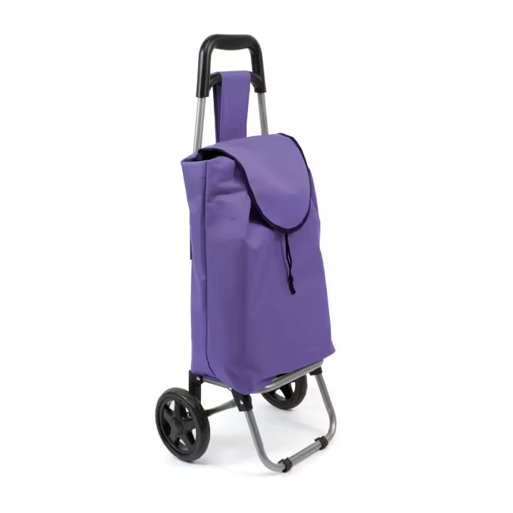 The Secret Home Carro de la Compra Plegable con Ruedas - Gran Capacidad de Almacenamiento - 1