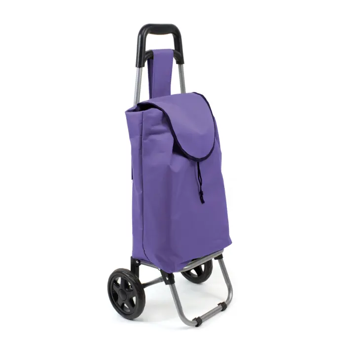 The Secret Home Carro de la Compra Plegable con Ruedas - Gran Capacidad de Almacenamiento - 1