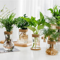 Bote De Vidrio Para Escritorio Ecológico Micro Paisaje Con Contenedor Hidroponía Y Acuario Para Plantas Verdes Y Peces Con Tapa De Madera Verde Diente De León - details 0