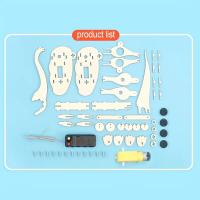 Kit De Juguetes STEM Dinosaurio Para Niños Puzzle 3D De Madera Modelo De Robot Proyectos Educativos Científicos DIY - details 1