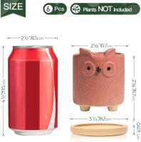 7cm lindo animal planta macetas, pequeño animal plantadores con platillo conjunto de 6, pequeñas macetas de cerámica para suculentas cactus, (sin plantas) - details 4
