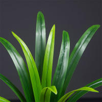Gran Planta Artificial De Bambú 60cm Con 18 Hojas Hojas Verdes De Orchidáceas Para Decoración De Jardín Y Hogar Material Plástico - details 10