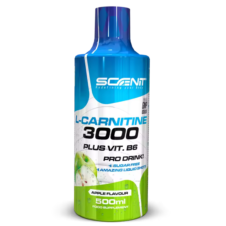 L Carnitina 3000 - L Carnitina Liquida 500 ml - Carnitina Liquida 3000 - Carnitina Liquida - L-Carnitina 3000 - L Carnitina Viales - L Carnitina - l - carnitina (1 bote de 500 ml) - 1