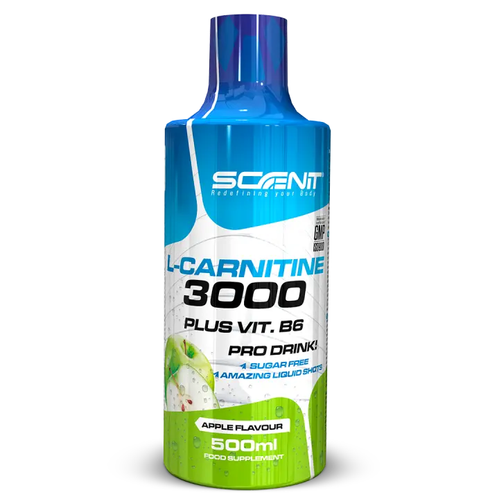 L Carnitina 3000 - L Carnitina Liquida 500 ml - Carnitina Liquida 3000 - Carnitina Liquida - L-Carnitina 3000 - L Carnitina Viales - L Carnitina - l - carnitina (1 bote de 500 ml) - 1