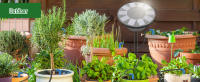 Kit De Riego Por Goteo Automático Solar Para Jardín Interior Y Exterior Con 9 Modos De Programación Sistema De Riego Para Plantas - details 6