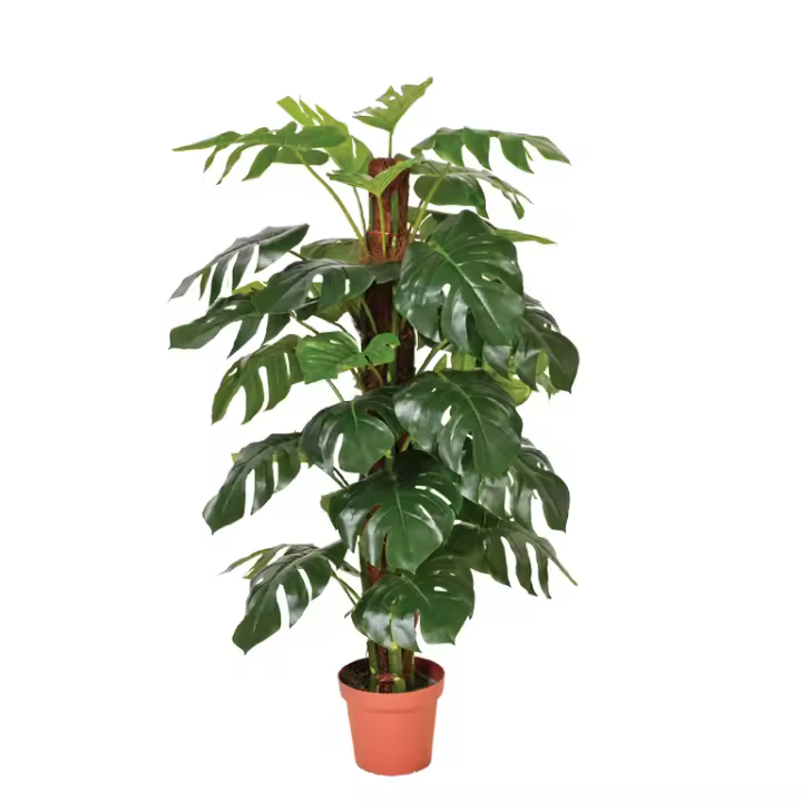 Catral | Planta Artificial Monstera 135 Cm | Plantas Artificiales Realistas | Decoración Para Hogar Y Oficina | Planta Artificial Grande | Perfecta Para Ambientes Modernos - 1
