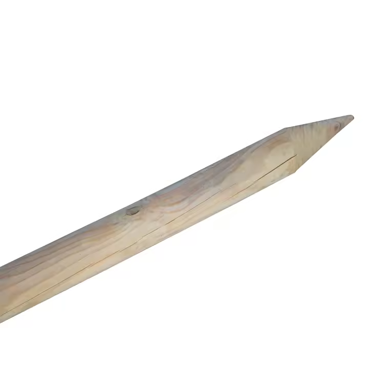 AZJARDIN.COM. Poste de madera con punta 4cm x 150 cm (diámetro x largo) de Catral - 1