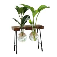 Vaso De Flor De Vidrio Moderno Para Arreglo Floral Y Propagación De Plantas Decoración De Sala De Estar Y Casa Rústica Sin Marca Proveniente De China Continental - details 2