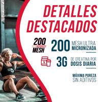 AS AMERICAN SUPLEMENT American Suplement - Creatina Monohidrato 300g - Combate la Fatiga - Favorece el Rendimiento Físico - Aminoácidos - details 1