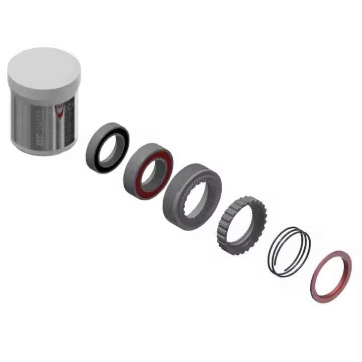 Dt Swiss Kit De Mantenimiento Ratchet 54t 180 Exp - 1