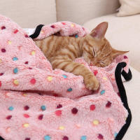 Manta Suave Y Fluffy Para Mascotas Con Patrón De Puntos Cómoda Y Caliente Para Gatos Y Perros Pequeños Y Grandes Almohadilla De Descanso Para Mascotas - details 2
