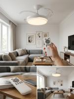 Ventilador de Techo con Luz LED Regulable, Motor DC Silencioso, 6 Velocidades, 4 Aspas transparentes, Función Inversa Verano/Invierno y Mando a Distancia para Salón o Dormitorio - details 0