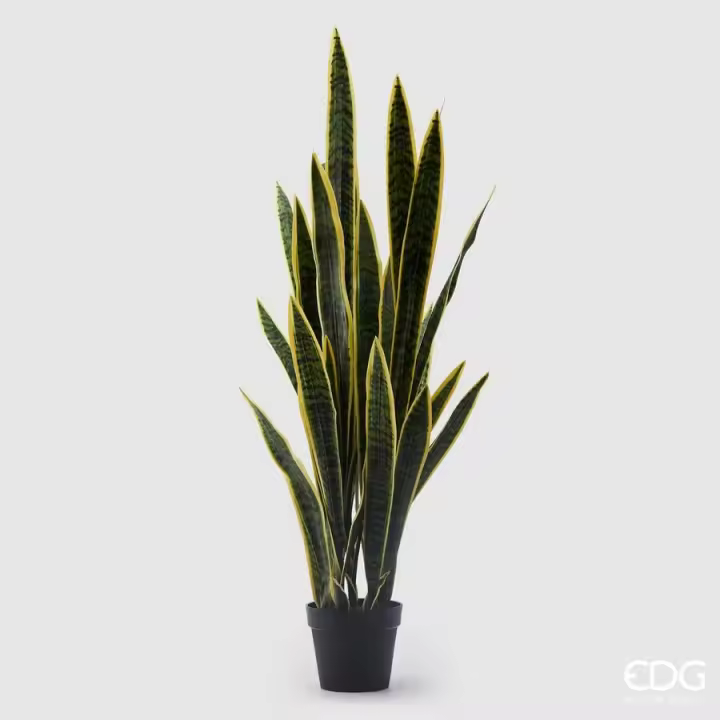 EDG Enzo De Gasperi Sansesteria West con Jarrón Artificial H 140 Cm Amarillo Verde - 1