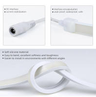 Tira De LED COB Neon 24V 10M Con Control Remoto RF Dimmable 320 LEDs/m Flexible Para Decoración De Jardín Luz De Tubo De Cinta - details 5
