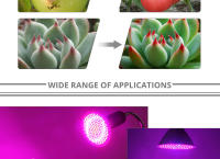 Lámpara De Crecimiento Para Plantas LED E27 Espectro Completo Foco Para Cultivo En Invernadero Y Tentación Hidroponía Con Varias Quantidades De LEDs 48/60/80/126/200/300 - details 6