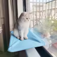 Hamaca colgante para cama de gato, soporte cómodo para asiento de ventana soleada, marco de escalada para gatito, accesorios para mascotas, 20Kg - details 11