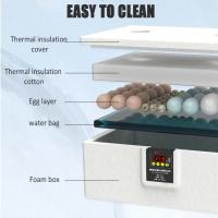 Incubador De Huevos Pequeño Termostático 24 Horas Con Cama De Agua Biomimética Automático Inteligente Para Pollos Pato Ganso - details 7