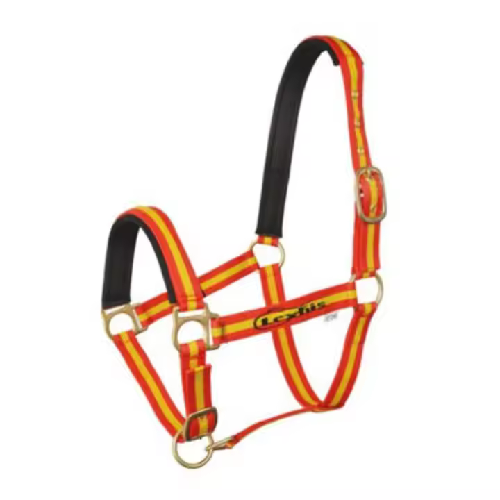 Lexhis Cabezada Cuadra Carabiner Double Nylon - 1