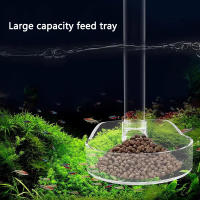 Juego De Alimentador Para Acuario Tubo Transparente De Gran Capacidad Multifuncional Dispensador De Alimento Para Peces Y Camarones - details 2