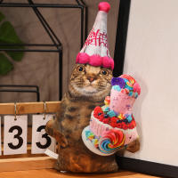 Cojín De Peluche Divertido Y Lindo De Gato 30cm Juguete De Peluche Coleccionable Para Niños Regalo De Cumpleaños O Festividades Estilo Diverso - details 8