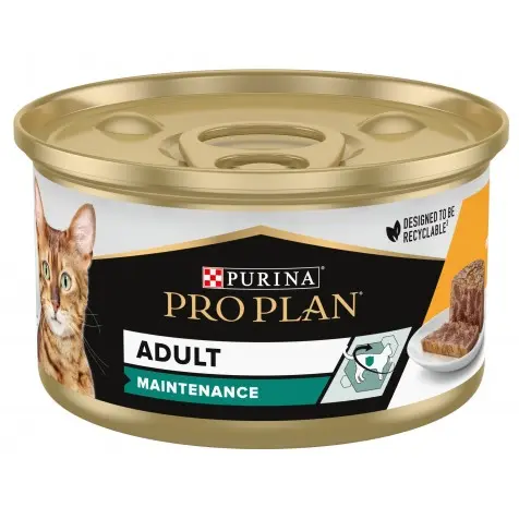 Pro Plan Adult Maintenance Pollo Tarrina Gatos 85 Gr - 1
