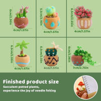 LMDZ Paquete De Tejido De Lana Para Plantas Succulentas Kit De Inicio Para Tejido Con Agujas De Lana DIY Artesanías Y Manualidades No Terminadas - details 2