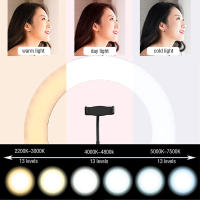 Anillo De Luz LED Para Selfie 16/26/33cm Con Soporte Para Teléfono Lámpara De Relleno LED Ajustable Para Fotografía Y Videos De TikTok - details 3