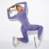 SSITO Conjunto de Yoga sin Costura para Mujer, trajes Deportivos para Fitness, ropa de Gimnasio, Top Short de manga Largo, camisas, Mallas para Corver High, pantalones de entrenamiento - details 32