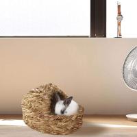 Nido de mascotas-Cama natural y Nedo de Hierba, Nido tejido para mascotas, Cama Tejida para mascotas Hierba y juegos para cobayas Chinchillas y Conejos - details 1