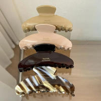 Pinza De Mangle Elegante Francesa Para Mujer Y Niñas Accesorios De Pelo De Moda Grande De Acrílico Decorativos Para Todas Las Estaciones - details 2