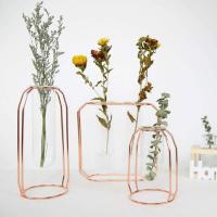 1 unid tubo de vidrio hidropónico verde plantador de vidrio florero planta de metal contenedor rack tubo de flor para oficina en casa (solo tubo trompeta) - details 2