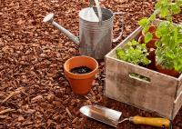 flonatur, Corteza de Pino Decorativa 70 litros, Ideal para Macetas, Arriates, Plantas y Zonas de Jardín, Protege de Malas Hierbas y Reduce la Erosión - details 1