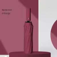 Paraguas Automático Xiaomi 12 De Tamaño Grande En Color Sólido Con Protección UV Y Luz Colapsable Para Sombrilla - details 7