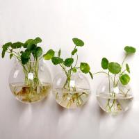 Vaso De Hierro Hidroponía Transparente Para Acuarios Pequeños En Pared Con Plantas Y Peces Juego De Decoración Para El Hogar - details 3