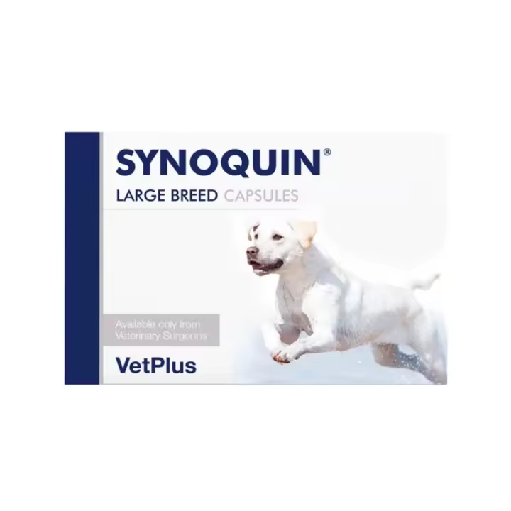 VETPLUS - Synoquin - Condroprotector para Perros de Raza Grande >25 kg (Cápsulas) - 1