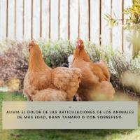 FINCA CASAREJO Suplemento Alimenticio Soluartro para Aliviar el Dolor de Articulaciones en Gallinas y Conejos - details 3