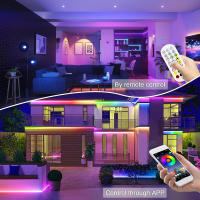 Tiras LED RGB Neon 12V 10M/5M Con WiFi Impermeables Y Sincronización De Música Para Exterior DIY Con Control Remoto Y App Para Dormitorio - details 1