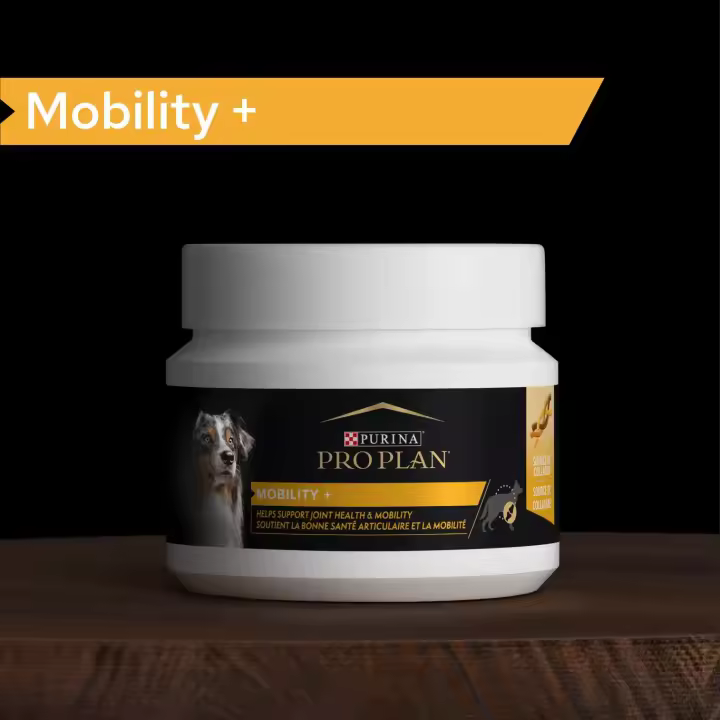 PURINA PRO PLAN SUPLEMENTO PERRO MOBILITY 4X60GR - 1