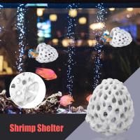 Cueva Miniatura Para Acuario Pequeño Hogar De Camarones Betta Escondite Para Peces Decoración Acuática Protector De Nidificación De Camarones - details 4